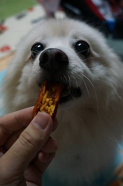 DSC09553.JPG DSC09553.JPG