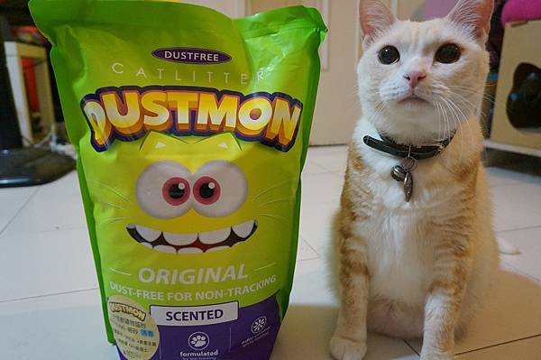 DSC09773.JPG DSC09773.JPG