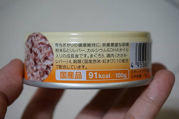 DSC06905.JPG DSC06905.JPG