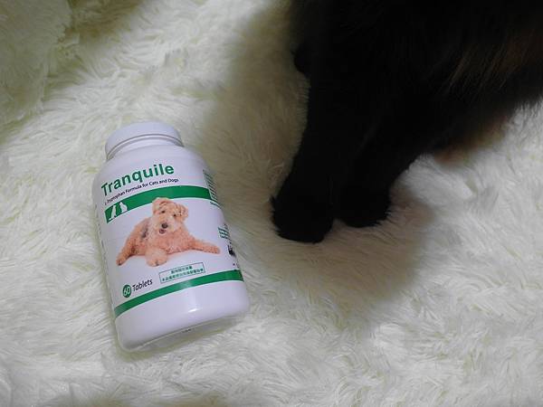 SAM_8184.JPG SAM_8184.JPG