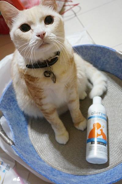 DSC09976.JPG DSC09976.JPG