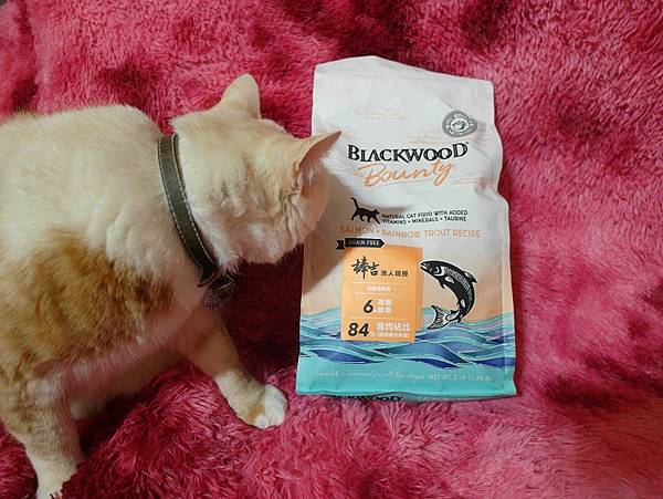 SAM_8207.JPG SAM_8207.JPG