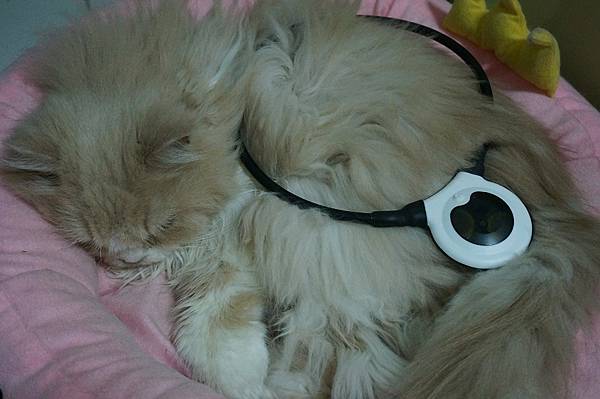 DSC08439.JPG DSC08439.JPG