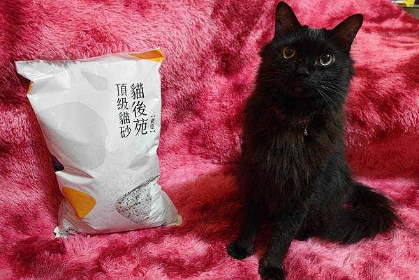 SAM_8913.JPG SAM_8913.JPG