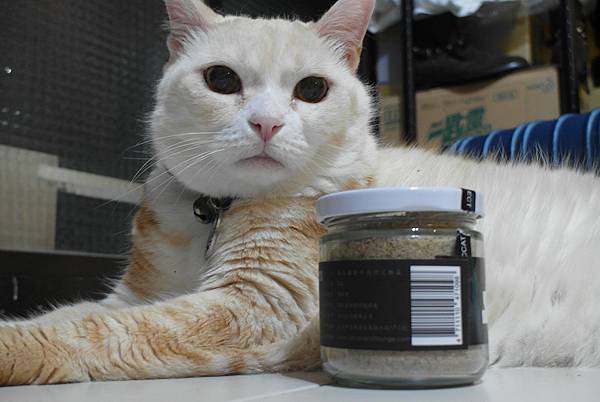 SAM_8994.JPG SAM_8994.JPG