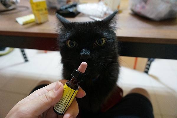 DSC09161.JPG DSC09161.JPG