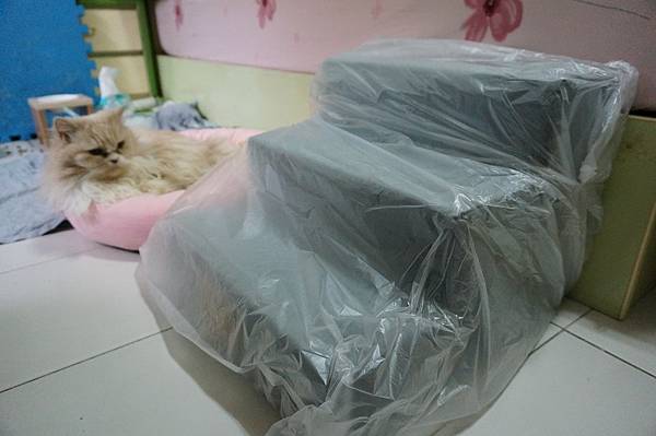 DSC08387.JPG DSC08387.JPG