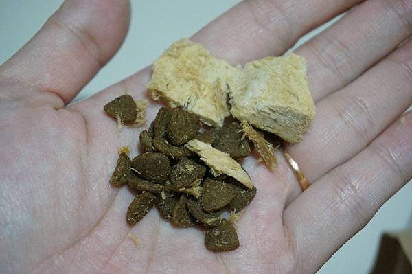 DSC08081.JPG DSC08081.JPG