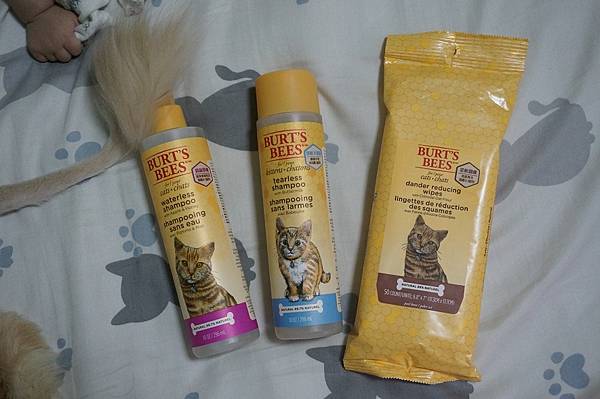 DSC09261.JPG DSC09261.JPG