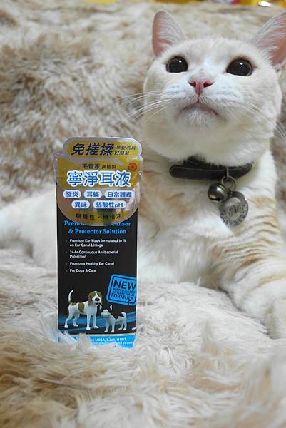 SAM_9376.JPG SAM_9376.JPG