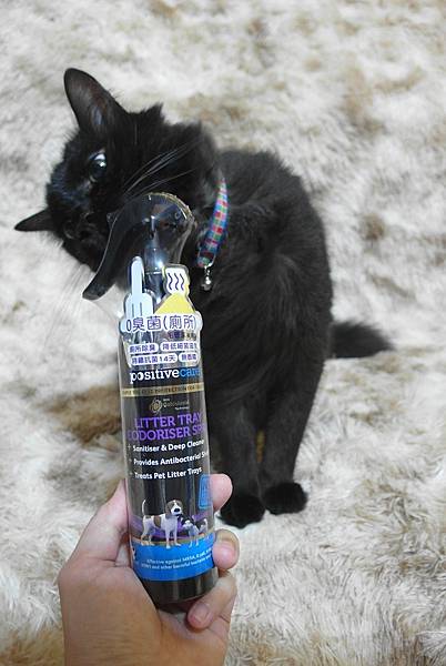 SAM_9353.JPG SAM_9353.JPG