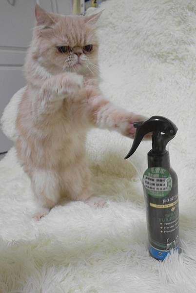 SAM_9457.JPG SAM_9457.JPG