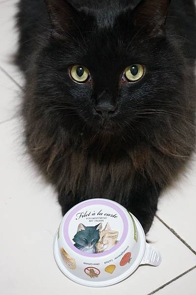 DSC07742.JPG DSC07742.JPG