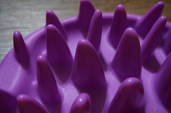 DSC09521.JPG DSC09521.JPG