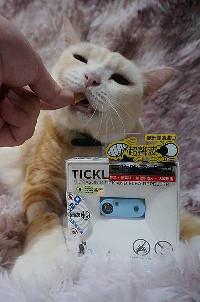 ［用品／犬貓］適合生病毛孩的驅蟲好物 Tickless蝨止王