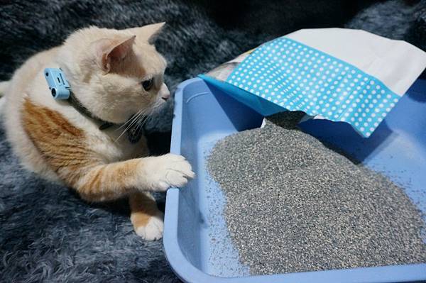 [貓砂／礦砂] 一用驚豔的水魔素 頂級鈉基無塵礦砂，古錐壞掉