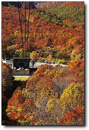 八甲田山