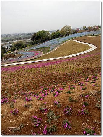 IMG_20150419_134507 IMG_20150419_134507