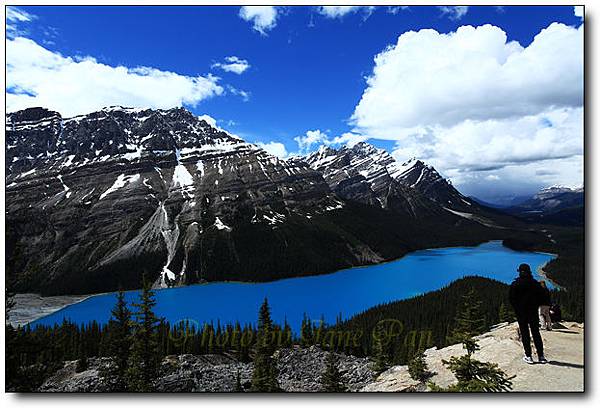 peyto lake