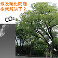 二氧化碳及暖化問題，光靠種樹就好了？ 