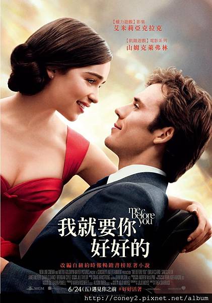 1050624 Me before you.jpg