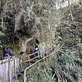 1110206杉林溪_081(001).jpg