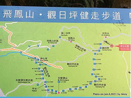 1110409飛鳳山_15a貓頭鷹相片.jpg