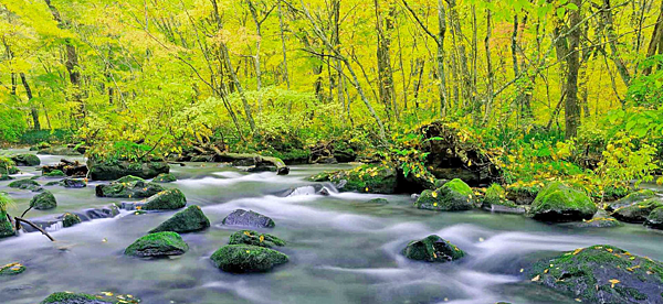 202509 日本_東北仙台、青森五日遊行程