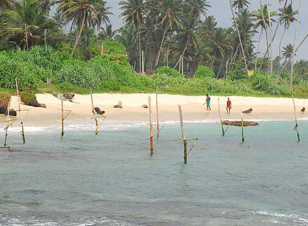 Stilt fishing 5.JPG