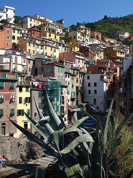 Cinqueterre 4.JPG