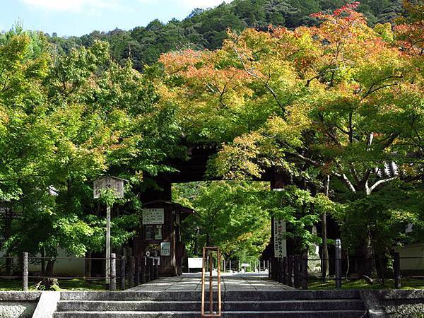 日本 京都 三十六 永觀堂 Kyoto Xxxvi Confusingstone的部落格 痞客邦
