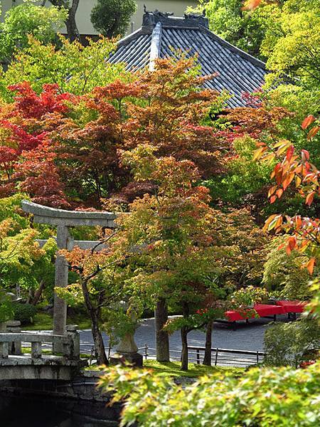 日本 京都 三十六 永觀堂 Kyoto Xxxvi Confusingstone的部落格 痞客邦