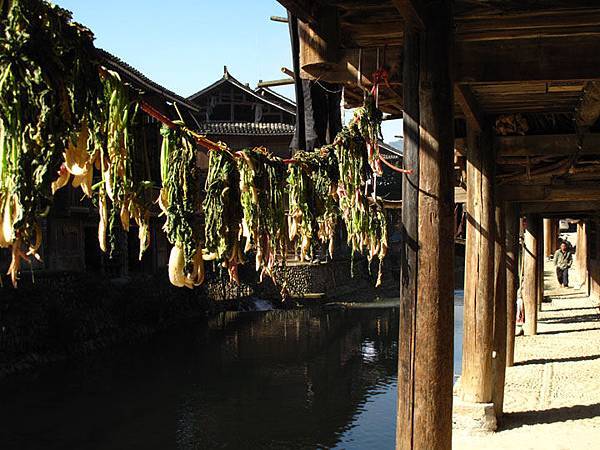 Zhaoxing b8.JPG