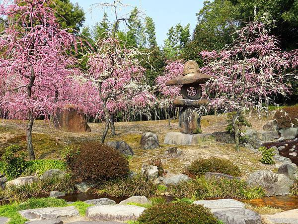 日本 京都賞梅 二 城南宮 Kyoto Xxxviii Confusingstone的部落格 痞客邦 日本 京都賞梅 二 城南宮 Kyoto Xxxviii Confusingstone的部落格 痞客邦