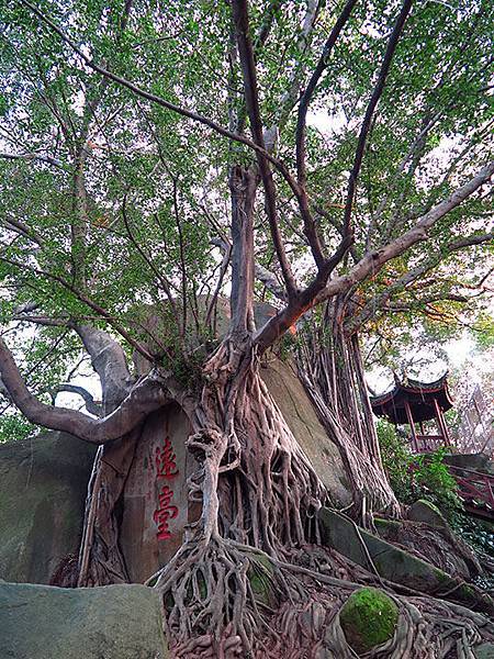 fuzhou z14 fuzhou z14