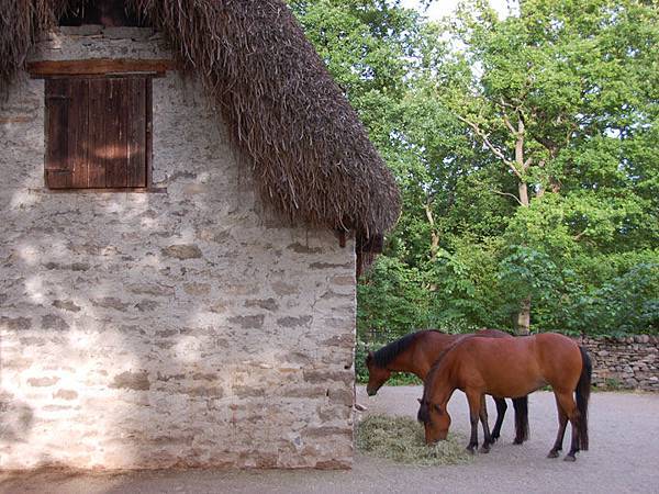 Stockholm l1.JPG Stockholm l1.JPG