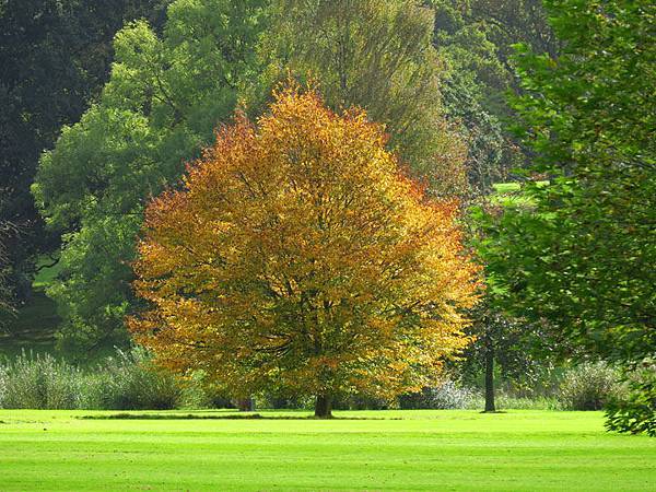 Stamford f7.JPG Stamford f7.JPG