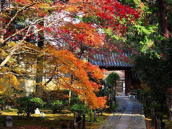 日本 京都12月楓 三 鹿王院 渡月橋 Kyoto Xlvi Confusingstone的部落格 痞客邦