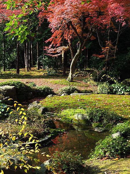 Kyoto 20a7.JPG Kyoto 20a7.JPG