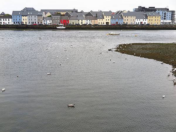 Galway g4.JPG