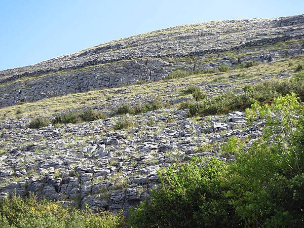 Burren a3.JPG