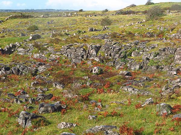 Burren a4.JPG