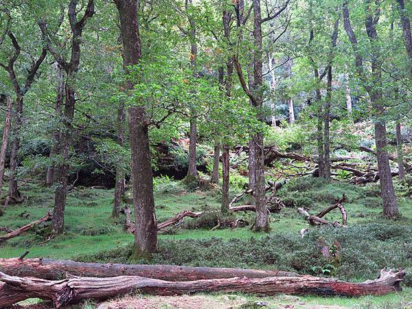 Glendalough c3.JPG