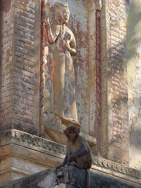 Ayodhya c3.JPG Ayodhya c3.JPG