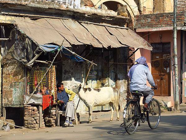 Ayodhya c6.JPG Ayodhya c6.JPG