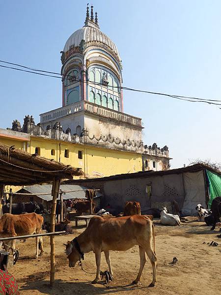 Ayodhya c7.JPG Ayodhya c7.JPG