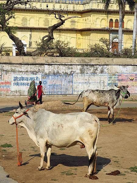 Ayodhya c8.JPG