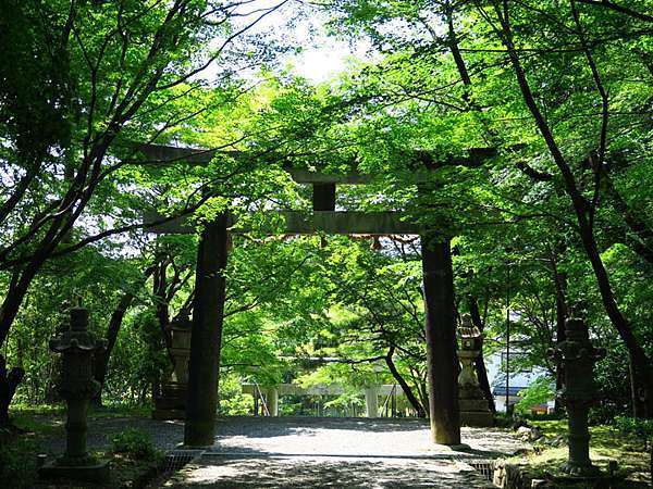 日本 京都 櫻後賞花 四 大原野神社和勝持寺 Kyoto Lxi Confusingstone的部落格 痞客邦