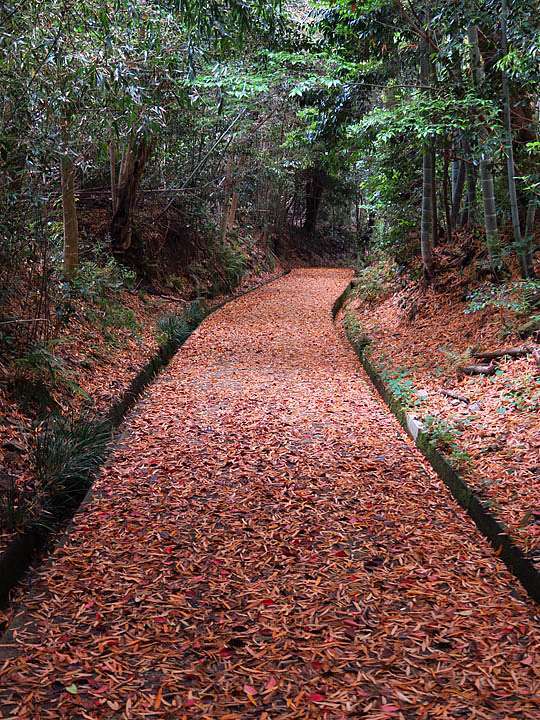 日本 京都 櫻後賞花 四 大原野神社和勝持寺 Kyoto Lxi Confusingstone的部落格 痞客邦