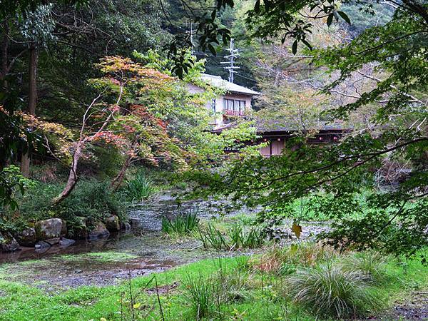 Kyoto gl9.JPG Kyoto gl9.JPG